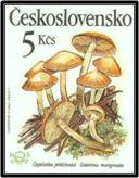 Jahrgang 1989 category icon/image