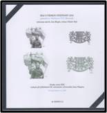 Besonderheiten category icon/image