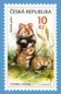 Preview: 0665 A / 0707 ** - 2011 kompletní čistý (neražený) ročník