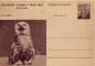 Preview: CDV 130 ** - 1956