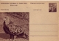 Preview: CDV 130 ** - 1956