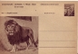 Preview: CDV 130 ** - 1956