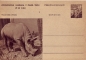 Preview: CDV 130 ** - 1956