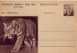 Preview: CDV 130 ** - 1956