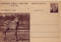 Preview: CDV 130 ** - 1956