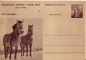Preview: CDV 130 ** - 1956