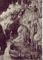 Preview: CPH 001 ** - Satz Bildpostkarten - 1949