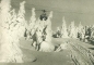 Preview: CPH 002 / 48 ** - Bildpostkarte - Jánské lázně - 1950