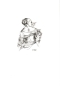 Preview: CZ 2021 98 006 **