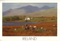 Preview: Irische Landschaft - IRL 19xx 95 001 ●