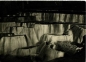 Preview: Domica-Höhle - CPH 001 / 30 - SK 1950 04 002 ●