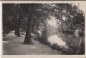 Preview: Cheb - CZ 1932 95 008 ●