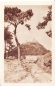 Preview: Bezděz (hrad) - CZ 1948 95 016 ●