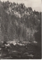 Preview: Šumava - Povydří - CZ 1967 95 004 ●