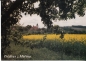 Preview: Metschin - CZ 1999 95 015 ●