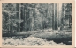 Preview: Šumava - Boubín - CZ 19xx 95 399 ●
