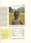 Preview: RCA - Středoafrická republika - UNICEF - pojednání  spojených národů