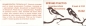 Preview: ZS 0026 / 0027 ** - 1994