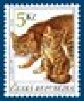 0204 / 0242 ** - 1999 kompletní čistý (neražený) ročník