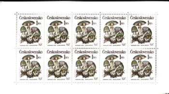 Preview: 2909 / 2913 PL ** - 1989