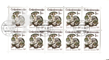 Preview: 2909 / 2913 PL ● - 1989