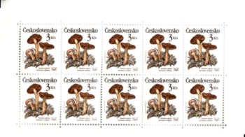 Preview: 2909 / 2913 PL ** - 1989