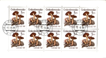 Preview: 2909 / 2913 PL ● - 1989