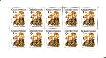 2909 / 2913 PL ** - 1989