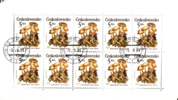 2909 / 2913 PL ● - 1989