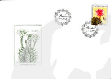 FDC 0484 / 0487 ● - 2006