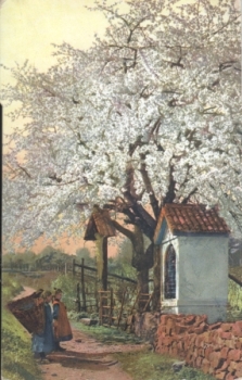 Tirol - A 1912 95 001 ●