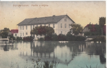 Borohrádek 1913 95 003 ●