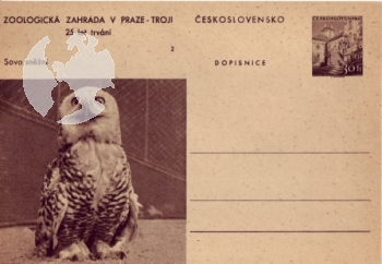 CDV 130 ** - 1956