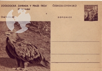 CDV 130 ** - 1956