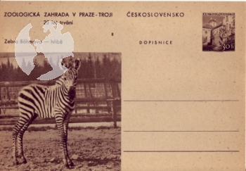 CDV 130 / 08 ** - 1956