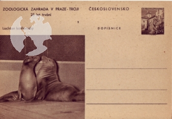CDV 130 ** - 1956