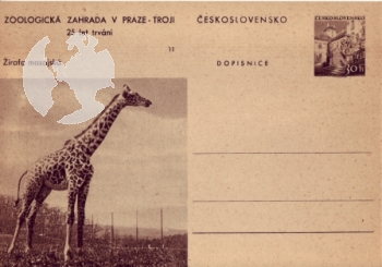 CDV 130 ** - 1956