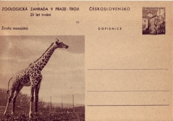 CDV 130 / 11 ** - 1956