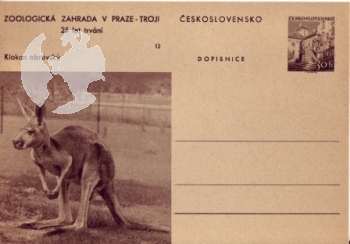 CDV 130 ** - 1956
