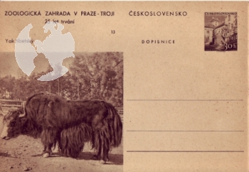 CDV 130 / 13 ** - 1956