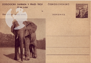 CDV 130 / 14 ** - 1956