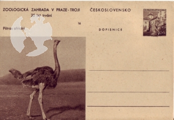 CDV 130 ** - 1956