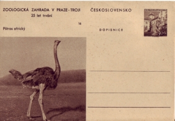CDV 130 / 16 ** - 1956