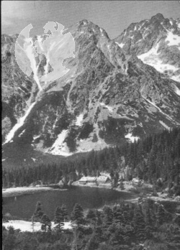 CPH 002 ** - Satz Bildpostkarten - 1950