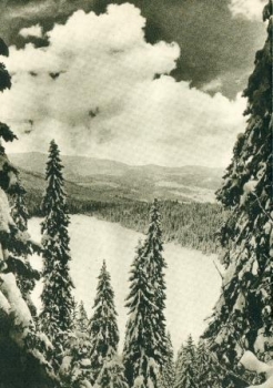 CPH 002 / 55 ** - Bildpostkarte - Čertovo jezero - 1950
