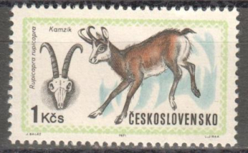 1905 ** - 1971
