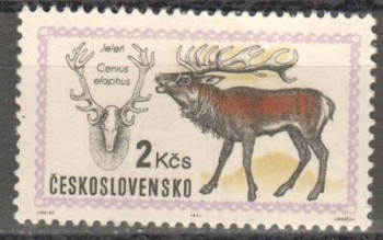 1906 ** - 1971