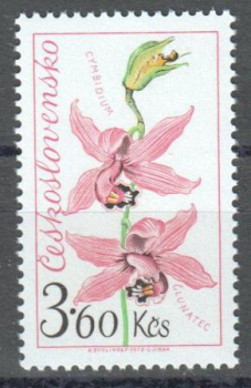 2041 ** - 1973