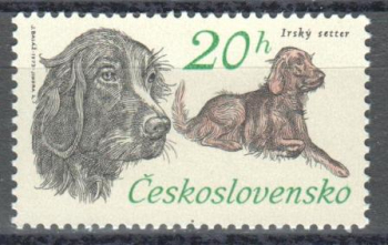 2042 ** - 1973