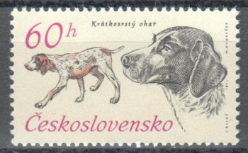 2045 ** - 1973
